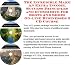 The Incredible Make An Extra Income, Success Principles and eCommerce for Kung Fu Shoes On-line Businesses 3 CD Course