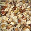 Frozen Porcini Mushroom Cubed - 2.2 lb Bag