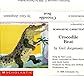 Crocodile Beat