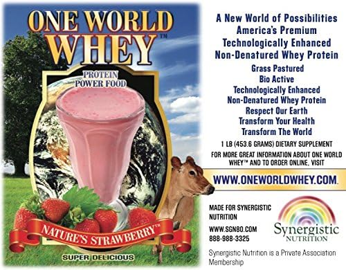 One World Whey - Strawberry 1 Lb - New and Improved, Technologically Enhanced Protein Formula