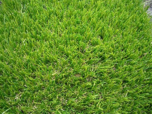 2' x 4' Premium Synthetic Turf Artificial Grass Lawn Rubber Backed with Drainage Holes