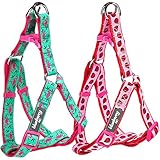 Blueberry Pet 5/8-Inch No Pull Step-In Harness for Dog, Small, Pink Flamingo on Light Emerald
