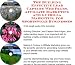 Search : The Guerilla Marketing, Building Effective Lead Capture Web Pages, Affiliate Marketing for Sportswear Businesses