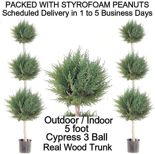 SPJPLANTS Box of Two Artifical Outdoor Indoor Potted 5 foot Cypress 3 Ball Topiary Trees, real wood trunk, packed with styrofoam peanuts