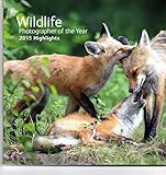 Wildlife : photographer of the year 2015 highlights