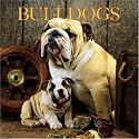 Bulldogs 2008 Square Wall Calendar (German, French, Spanish and English Edition)