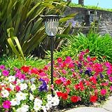 Buy Black Accent Solar Light - 3 Amber LED by Crown