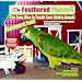 Feathered Phonics The Easy Way To Teach Your Bird To Speak Volume 3: Barnyard Fun! 96 Sound Effects and Words