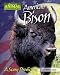 Books : American Bison: A Scary Prediction (America's Animal Comebacks)
