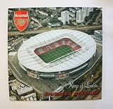 Character World Arsenal Stadium Canvas Art
