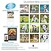 LittleGifts Dalmatian 2016 Calendar (1238)