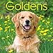 2015 Goldens Wall Calendar Trends International