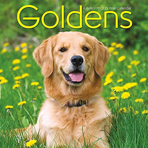 2015 Goldens Wall Calendar Trends International