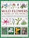 The Illustrated Encyclopaedia of Wild Flowers and Flora of the World