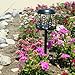 Read Cactus Solar Light - White LED Details Cactus Solar Light - White LED