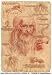 Leonardo DaVinci Style Drawing with Pot Leaves & Smoking a Joint - Sticker / Decal