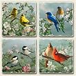 Assorted Coaster set~ Sweet Songbirds~4 Tumbled Tile Drink Coasters ~ code 868