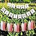 Wisehands Garlands Pack with 15 Tissues Papers Tassels Garland with 3 Mixed Colors (White + Pink+ Gold) and Happy Birthday Bunting Banner, Pink with Gold Letters