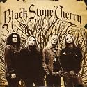 Black Stone Cherry