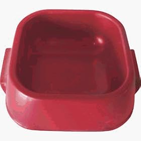 Puppy And Cat Feeding Dish