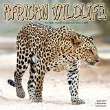Eigenschaften Avonside Publishing Ltd.  / Kalender 2009 African Wildlife - auf Safari durch Afrika