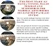 Search : The Best Make An Extra Income, Sales Models and eCommerce for Martial Arts Books On-line Biz Package (3 CDs)