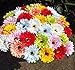 10 PCS Real Touch Latex Silk Artificial fake plastic Daisy Chrysanthemum Flowers Sun Chrysanthemum,Sunflower, Simulation Gerber, Dimorphotheca,Party Room home Decoration DIY Flower Bouquet (green)