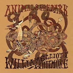 Animals In The Dark