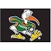 Fanmats Miami FL Hurricanes Starter Mat