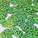 Round Flat Sequin 18mm Top Hole Lime Green Hologram Glitter Sparkle. Couture Paillettes. Made in USA