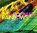 Bosnian Rainbows