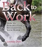 Back to Work: How to Rehabilitate or Recondition Your Horse