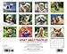 What Dogs Teach Us 2015 Wall Calendar