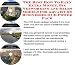 The Best How To Earn Extra Money, Biz Networking and Sales Models for Aquariums Businesses 3 CD Power Pack
