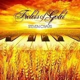 Fields of Gold ( Solo Piano Instrumental )