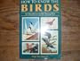 How To Know The Birds