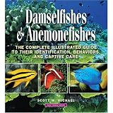 Damsels & Anemonefishes (Reef Fishes)