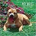 American Pit Bull Terriers 2008 Wall Calendar