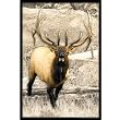 Upstream Images Bull Elk Static Wall Graphic