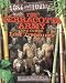 The Terracotta Army and Other Lost Treasures (Lost and Found)