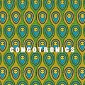 Congotronics (Limitierte Vinyl Box) [Vinyl LP] [Vinyl LP]