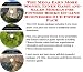 The Mega Earn More Money, Inner Game and Sales Models for Fitness Books On-line Businesses 3 CD Power Pack