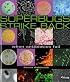Superbugs Strike Back: When Antibiotics Fail (Discovery!)