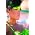 Thumbnail image of Rihanna