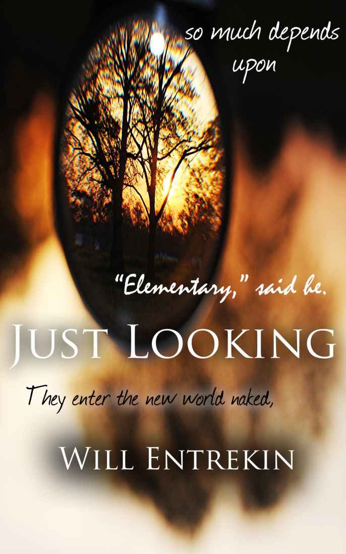 Just Looking: How the Revolution in Medical Education Influenced ...