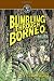 Bumbling Through Borneo