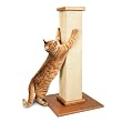 POSTE para RASCAR para GATOS de SMART CAT