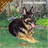 German Shepherd 2008 Wall Calendar