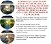 Book Massive Cash Flow Pack with Make An Extra Income, Success Principles and Sales Models for Kayaks On-line Businesses 3 CD Course