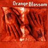 Orange Blossom